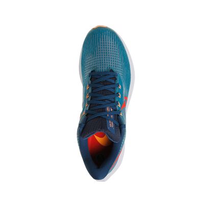 Zapatillas Nike  Air Zoom Pegasus 39