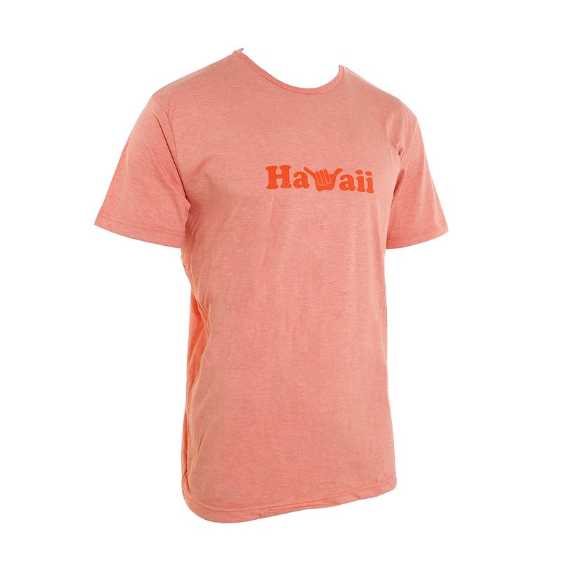 Remera-Hang-Loose-Hawaii-Espalda