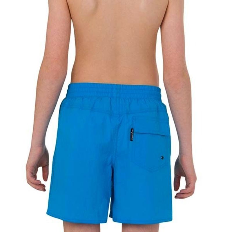 Trajes-De-Baño-Speedo-Challenge-15-Espalda