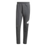 Pantalon-adidas-Future-Icons-Lateral
