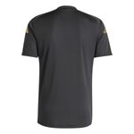 Remera-adidas-Argentina-Entrenamiento-24-Detalles-1