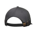 Gorra-Trown-Mt-Drawing-