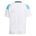 Camiseta-De-Futbol-adidas-Messi-24.-Detalles-1