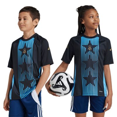 Remera adidas Afa Pre Match 24