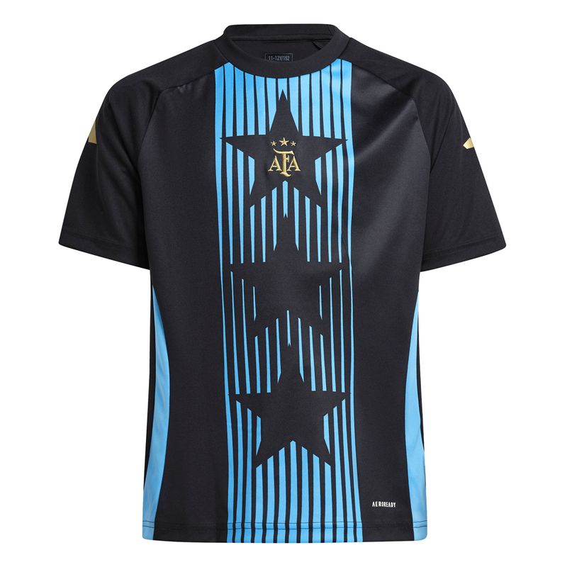 Remera-adidas-Afa-Pre-Match-24-Lateral