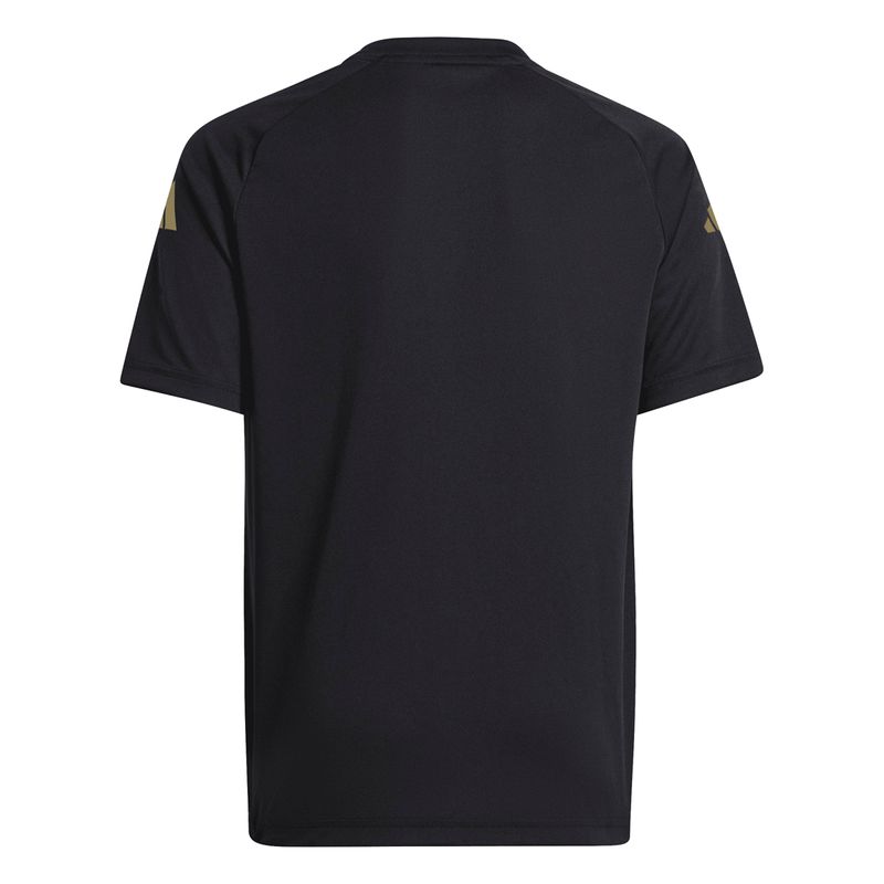 Remera-adidas-Afa-Pre-Match-24-Detalles-1