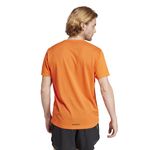 Remera-adidas-Terrex-Agravic-Espalda
