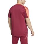 Remera-adidas-River-Plate-Training--24-25-Espalda