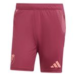 Short-adidas-River-Plate-Training-24-25.-Detalles-3