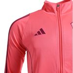 Conjunto-adidas-River-Plate-24-25..-Detalles-1