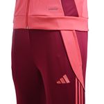 Conjunto-adidas-River-Plate-24-25..-Detalles-2