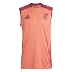 Musculosa-adidas-River-Plate-24-Frente