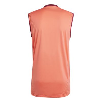 Musculosa adidas River Plate 24