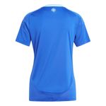 Camiseta-De-Futbol-adidas-Suplente-Afa-Mujer-24-Detalles-1