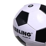 Pelota-Drb-Flash-