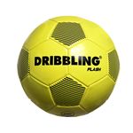 Pelota-Drb-Flash-