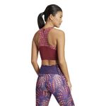 Top-adidas-Adizero-X-Farm-Espalda