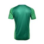 Camiseta-De-Futbol-adidas-Originals-Afa-Anniversary-Espalda