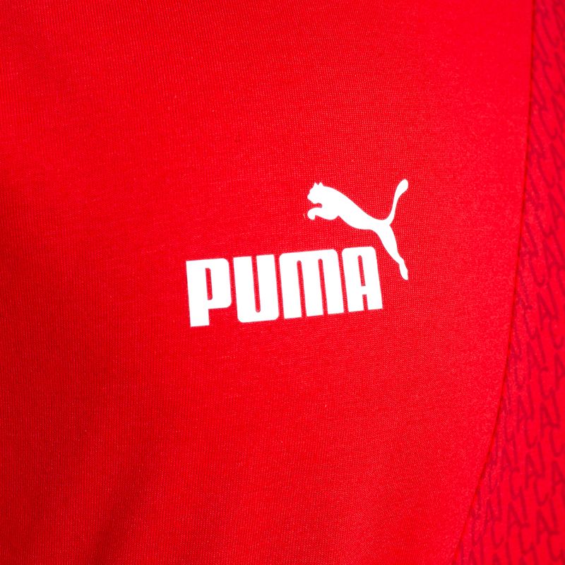 Remera-Puma-Independiente-Culture-Track-24-Lateral