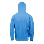 Buzo-Champion-Vintage-Wash-Varsity-Espalda