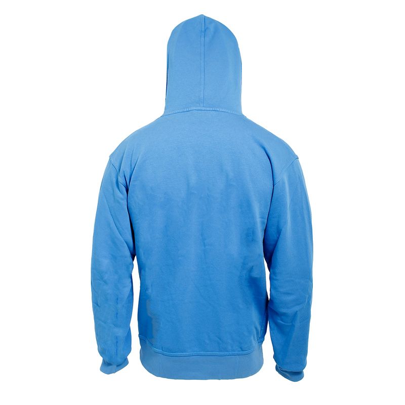 Buzo-Champion-Vintage-Wash-Varsity-Espalda