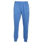 Pantalon-Champion-Vintage-Wash-Varsity-Frente