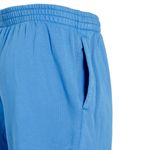 Pantalon-Champion-Vintage-Wash-Varsity-Lateral