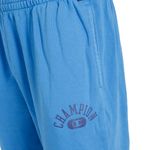 Pantalon-Champion-Vintage-Wash-Varsity-Detalles-1
