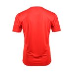 Remera-Puma-Cai-Training-24-Espalda