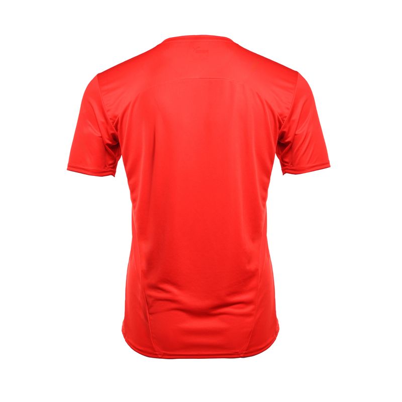 Remera-Puma-Cai-Training-24-Espalda