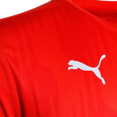 Remera Puma Independiente Prematch Cai 24