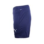 Short-Puma-Cai-Training-24-Lateral