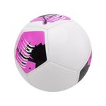 Pelota-Puma--Big-Cat-Ball-