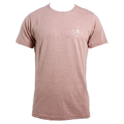 Remera Salomon Cotton Ss Iii