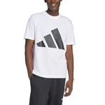 Remera-adidas-Big-Logo-Frente