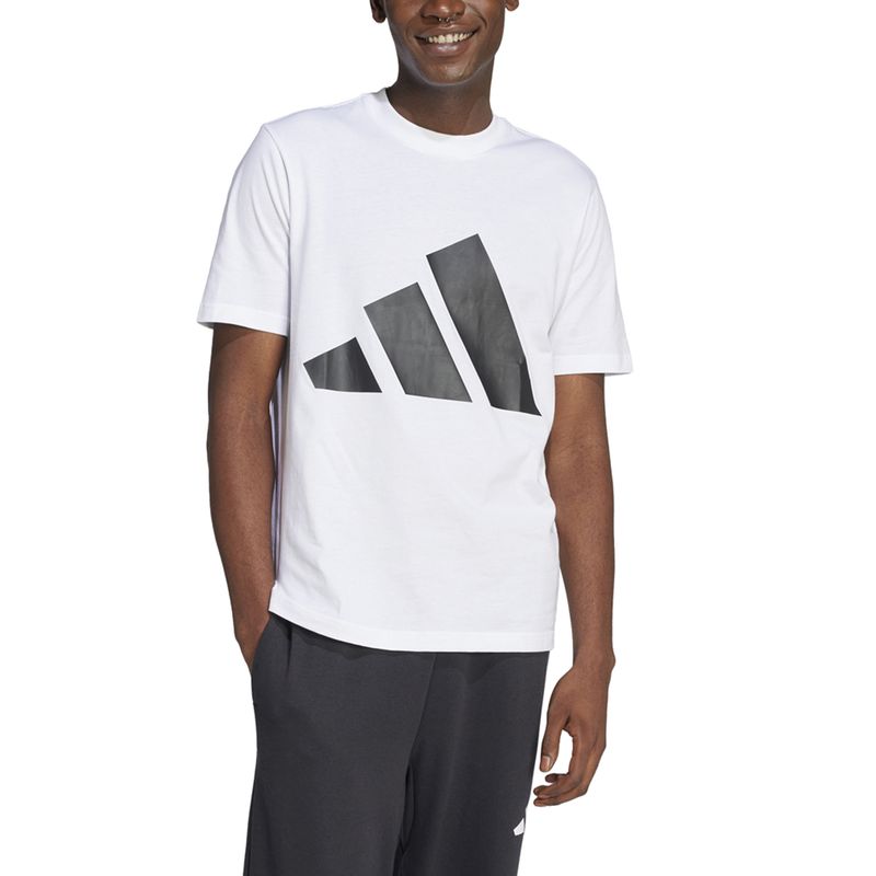 Remera-adidas-Big-Logo-Frente