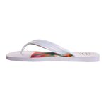 Ojotas-Havaianas-Top-Max-Concept-INTERNO-DERECHO