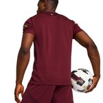 Camiseta-De-Futbol-Puma-3-Recambio-Manchester-City-24-25-Espalda