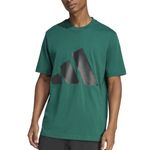 Remera-adidas-Big-Logo-Frente