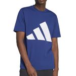 Remera-adidas-Big-Logo-Frente