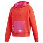 Buzo-adidas-G-Lego-Frente