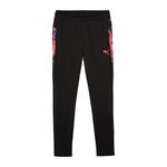 Pantalon-Puma-Individualcup-659899-Lateral