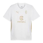 Remera-Puma-Milan-Training-Lateral