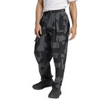 Pantalon-adidas-Terrex-Xploric-Frente
