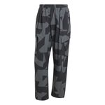 Pantalon-adidas-Terrex-Xploric-Lateral