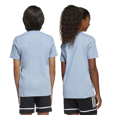 Remera adidas Aniversario 50 Años Selección Argentina