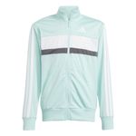 Conjunto-adidas-Tiberio-K-Detalles-1