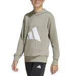 Buzo-adidas-Essentials-Frente