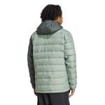 Campera-adidas-Terrex-Multi-Espalda