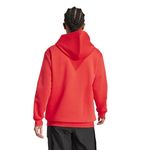 Buzo-adidas-Terrex-Multi-Logo-Espalda